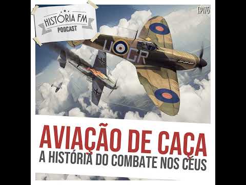 176 Aviação de Caça: a história do combate nos céus