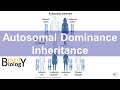 Genetic Testing and Inheritance Patterns