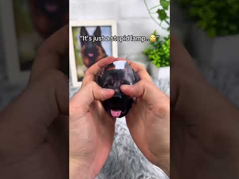 I love it 😩❤️ #giftsideas #pets #dogsoftiktok #dogs #dogloss