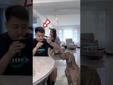 gave cake but first ate the best part #shortsvideo