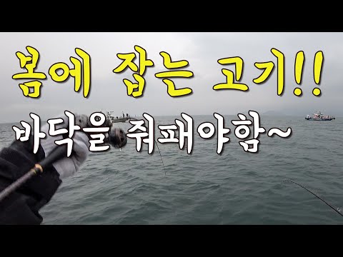 [다리tv] 지금부터 잡을 수 있는 맛난고기!!! 바닥을 줘 패야 잡아요!!