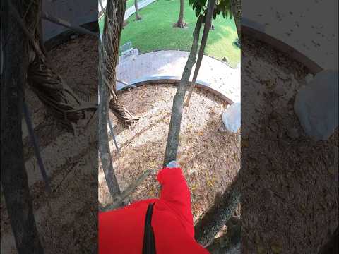 Money Heist Vs Police || Escape Police - (Epic POV Parkour) Ep.3 #shorts #tobypk