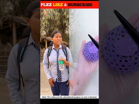 Survival🤣 Skills: SIMPLE and USEFUL #bushcraft​ #camping​ #outdoor