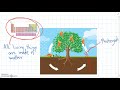 Nutrient Cycling and Ecosystem Roles
