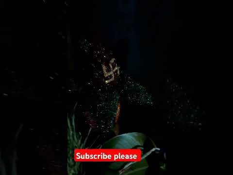 ##jodi ban jaye jisi gauri shankr jaisi## banjaye piya ko pyar miljaye## hartalika tijj