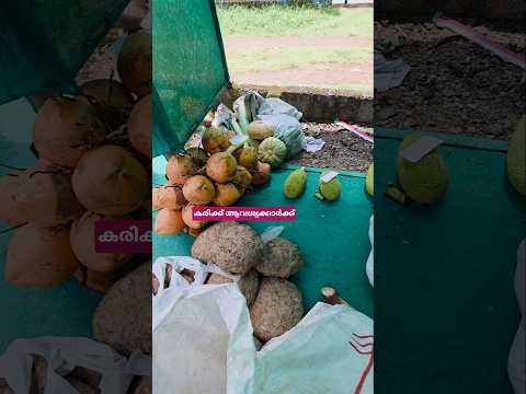 ഫുൾ വീഡിയോ ചാനൽ 👍#shortsfeed #shortvideo #shorts #marketing