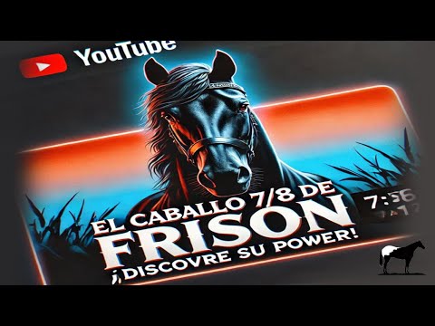 7/8 Frisón ¿Qué Son? Y ¿Cómo Conseguirlo? 🐴-Del Cerro Soy