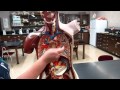 Anatomical Terminology and Body Planes