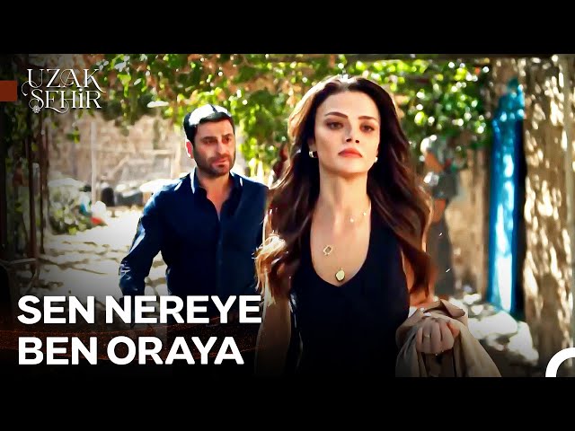 Kararlılıkta Alya Albora Gibi Olun Kararlılıkta Alya Albora Gibi Olun