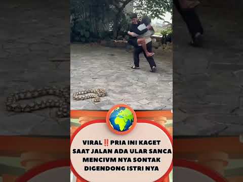 punya istri gemok sangat beruntung🤣 #funny