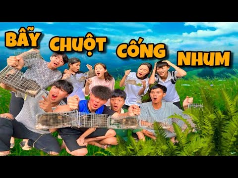 Anh Ba Phai | Thử Thách Đặt Bẫy Chuột | Mousetrap