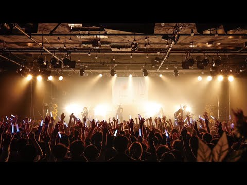 CYNHN - はりぼて　Blue - Haribote @2024.08.21「CYNHN LIVE TOUR 2024 -Sunflower-」