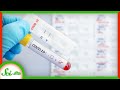 Understanding COVID-19 Testing Methods