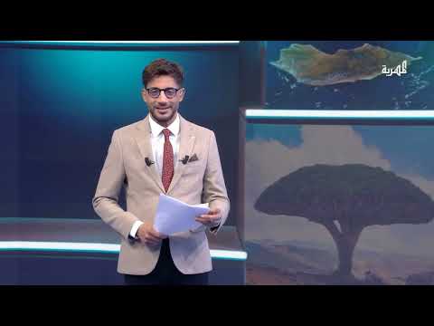 قناة المهرية الفضائية