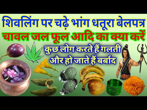 सावन मे भांग धतूरा जल पानी फूल चावल इत्यादि का क्या करें कुछ लोग सावन मे करते है गलती आती है गरीबी