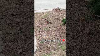 Don't try to touch me.🦜😂