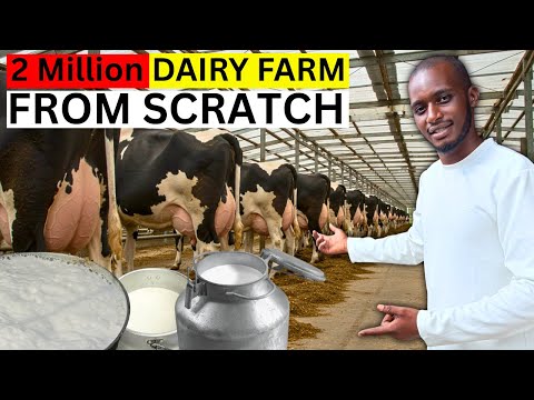 BUILDING A 2 Million DAIRY FARM Explained | COST OF MAKING a SUCCESSFULL Dairy Farm