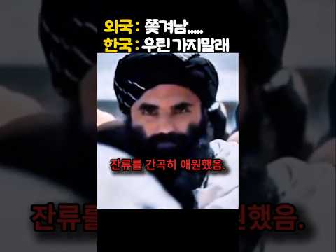 탈레반이 붙잡고 애원한 유일한 한국인이 아프칸을 한국 토종 콩으로 구한 레전드