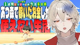 【あつ森】1週間あつ森で稼いだ金額しか使えない生活～6日目～【新人vtuber / 弐十】