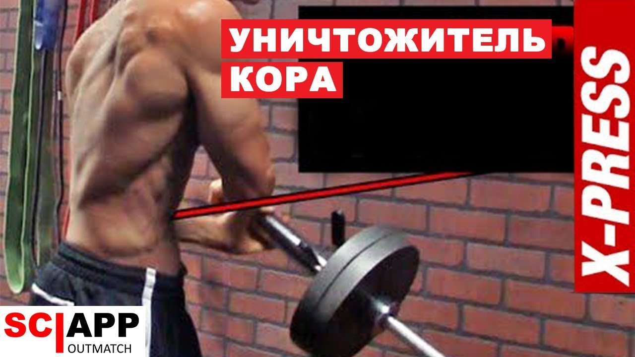 Самое Мощное Упражнение На Пресс