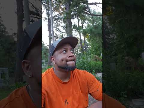 This Song is 🔥🔥🔥 #shorts #music #moneybaggyo #morganwallen #whiskey #viral