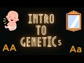 Genetics Terminology and Concepts