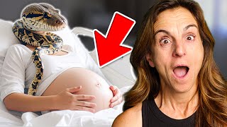 Is My Snake PREGNANT? Let's Ultrasound Her!!