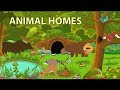 Animal Habitats and Homes