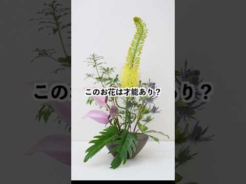 【#3】お花を綺麗に飾るポイントとは？ #プレバト #生け花 #shorts