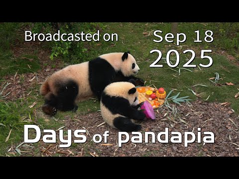 20250918 Broadcast Top Highlights 03