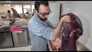 TÜRKİYE'DE BU CİĞERİ YAPAN YOK! I ARNAVUT CİĞERİNİ İLK YAPAN USTA