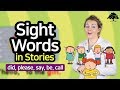 Identifying Sight Words and Sentences
