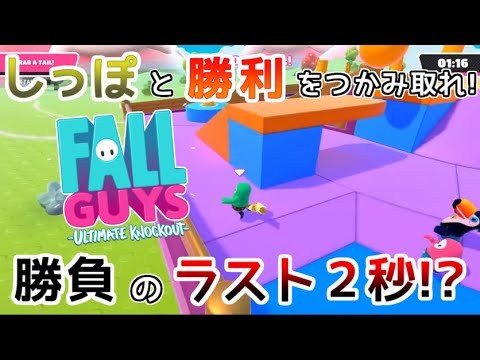 【FALL GUYS】勝者は一人【バトロワ】