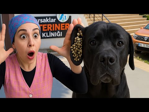 Binlerce KENE kulağında 😳 Gözlerinize İNANAMAYACAKSINIZ😱😱😱