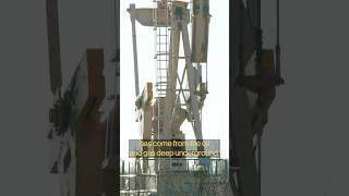 Oil-rich University of Texas turns to renewable energy #shorts
