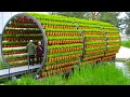 Innovations in Sustainable Farming Practices
