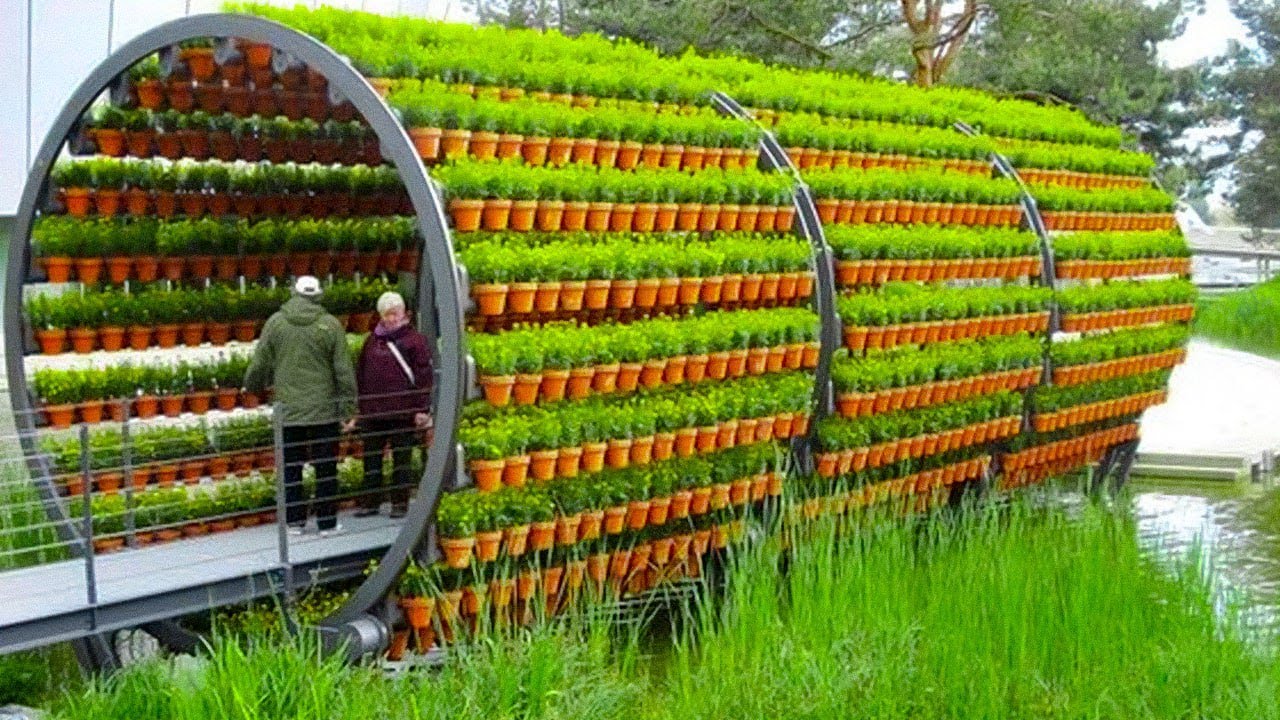 11 Amazing Farms You HAVEN’T Seen Before