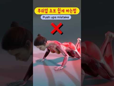푸쉬업 초보도 쉽게 하는법 #푸쉬업 #팔굽혀펴기 #푸쉬업자세 #홈트는써니요가 #써니요가 #sunnyyoga