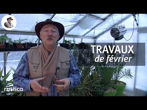 Que faire en février au jardin