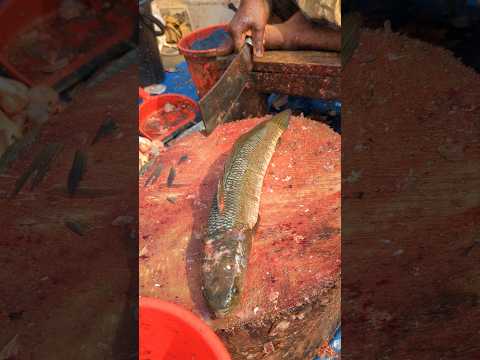 Wow!! Rustic idyllic Soal Fish Cutting Skills in Beautiful Place 🤭 || #shorts #fishcutting_skills