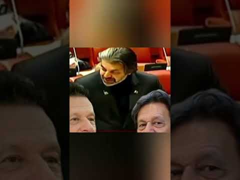 #alimuhammadkhan #imrankhan #nationalassembly