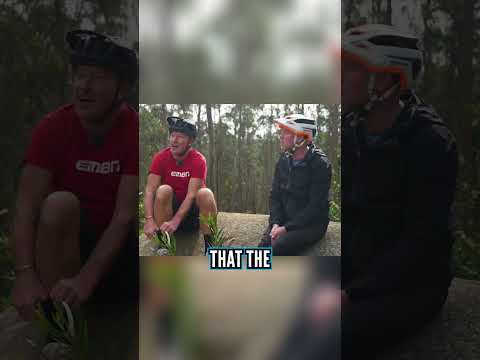 Surely E-bikes Are Freeride!