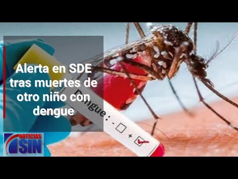 #EmisiónEstelarSIN: Investigaciones, dengue y propuestas