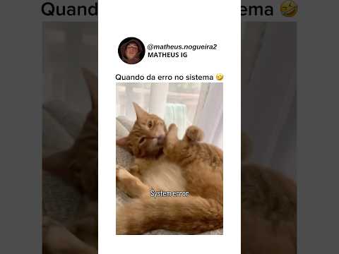 Esse vídeo alegrou meu dia: #shorts