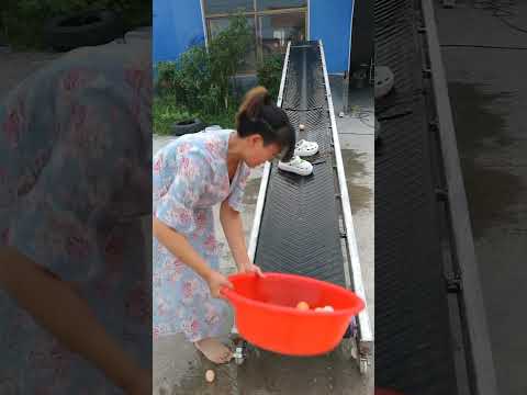 Cùng chơi với em nào #shorts