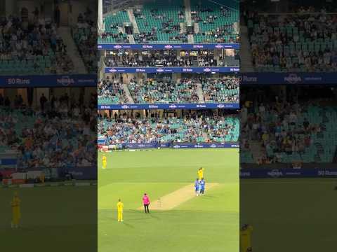 Virat Kohli Fifty Celebrations | Virat Kohli Batting | India vs Australia Highlights #cricket