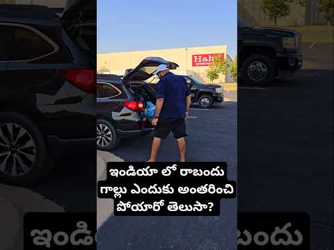 ఇండియా లో రాబందు గాల్లు ఎందుకు అంతరించి పోయారో తెలుసా? Vultures in Oklahoma, Wildlife in USA,  birds