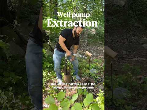 Extracting a well from my historic fishery 
