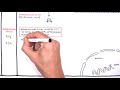 Fluid and Electrolyte Balance Concepts
