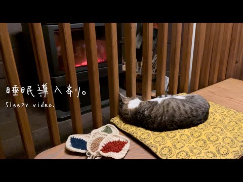 猫と薪ストーブと編み物だけ。Just cat, wood stove and knitting.